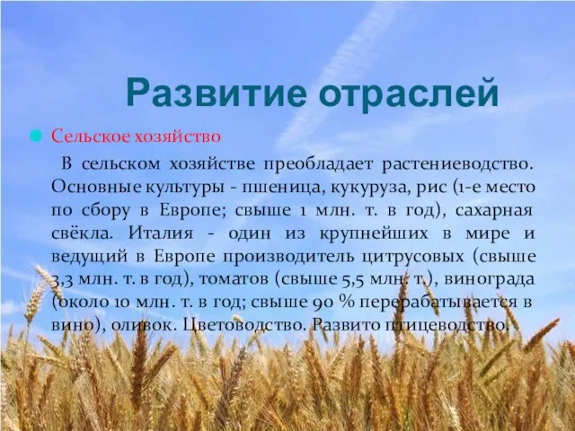 Развитие отраслей Сельское хозяйство В сельском хозяйстве преобладает растениеводство. Основные культуры