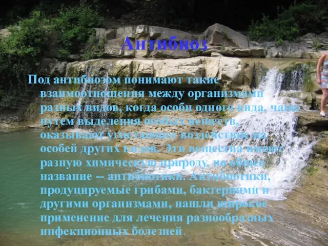 Антибиоз Под антибиозом понимают такие взаимоотношения между организмами разных видов, когда