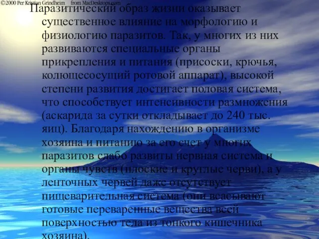 Паразитический образ жизни оказывает существенное влияние на морфологию и физиологию паразитов.