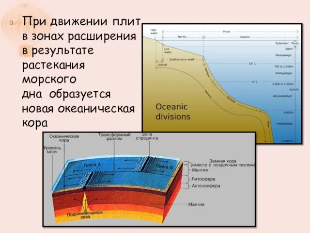 При движении плит в зонах расширения в результате растекания морского дна образуется новая океаническая кора