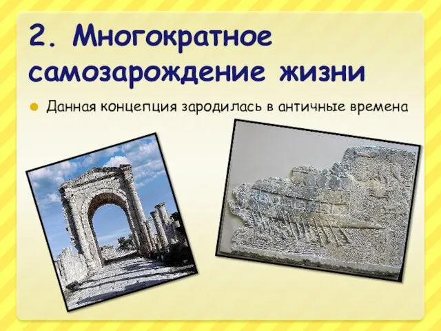 2. Многократное самозарождение жизни Данная концепция зародилась в античные времена