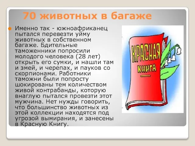 70 животных в багаже Именно так - южноафриканец пытался перевезти уйму