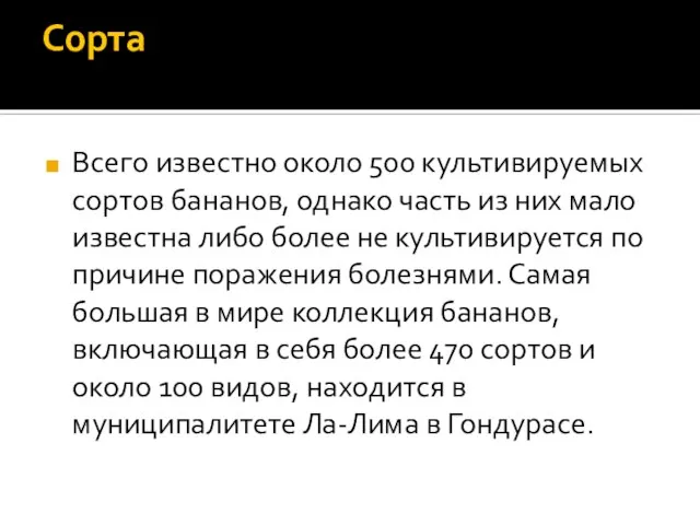 Сорта Всего известно около 500 культивируемых сортов бананов, однако часть из