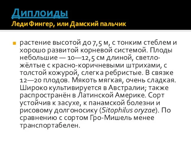 Диплоиды Леди Фингер, или Дамский пальчик растение высотой до 7,5 м,