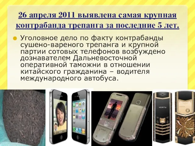 26 апреля 2011 выявлена самая крупная контрабанда трепанга за последние 5