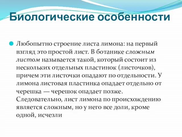 Биологические особенности Любопытно строение листа лимона: на первый взгляд это простой