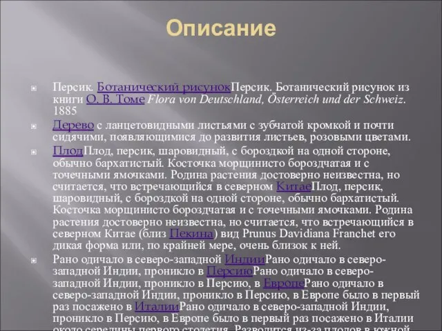 Описание Персик. Ботанический рисунокПерсик. Ботанический рисунок из книги О. В. Томе