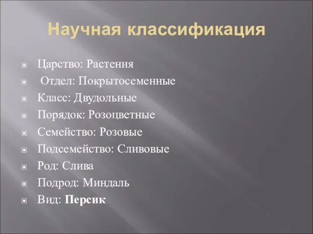 Научная классификация Царство: Растения Отдел: Покрытосеменные Класс: Двудольные Порядок: Розоцветные Семейство: