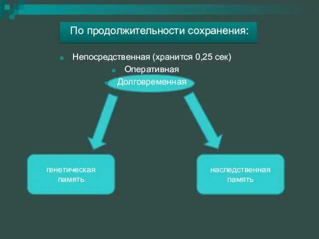 По продолжительности сохранения: Непосредственная (хранится 0,25 сек) Оперативная Долговременная генетическая память наследственная память