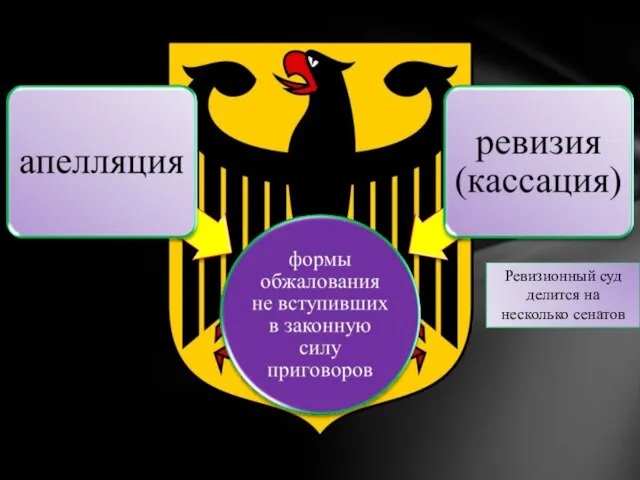 Ревизионный суд делится на несколько сенатов