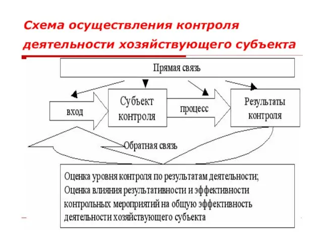 Схема осуществления контроля деятельности хозяйствующего субъекта