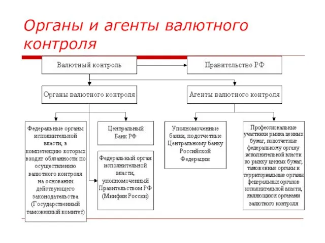 Органы и агенты валютного контроля