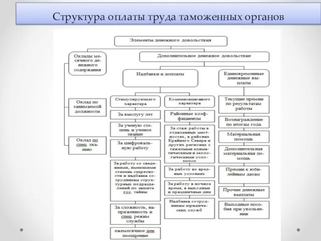 Структура оплаты труда таможенных органов