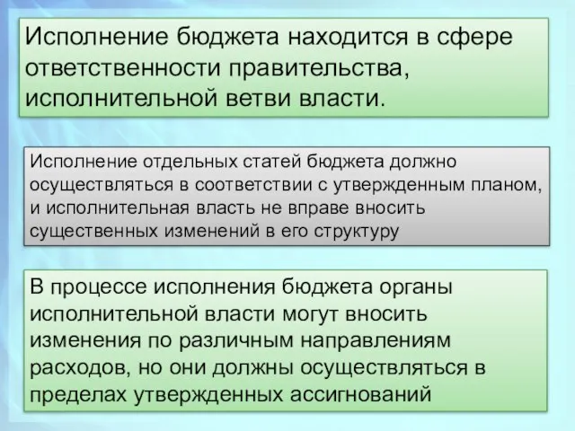 Исполнение бюджета находится в сфере ответственности правительства, исполнительной ветви власти. Исполнение