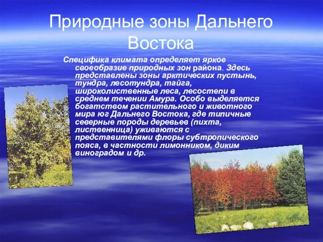 Природные зоны Дальнего Востока Специфика климата определяет яркое своеобразие природных зон