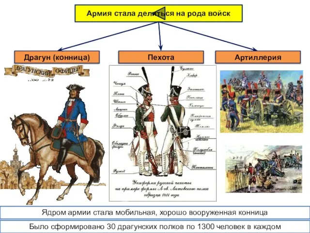 Армия стала делиться на рода войск Драгун (конница) Пехота Артиллерия Ядром