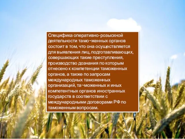 Специфика оперативно-розыскной деятельности тамо¬женных органов состоит в том, что она осуществляется