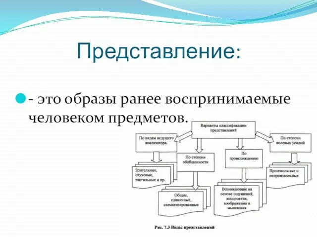 Представление: - это образы ранее воспринимаемые человеком предметов.