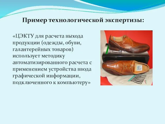 Пример технологической экспертизы: «ЦЭКТУ для расчета выхода продукции (одежды, обуви, галантерейных