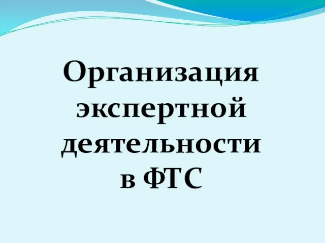 Организация экспертной деятельности в ФТС