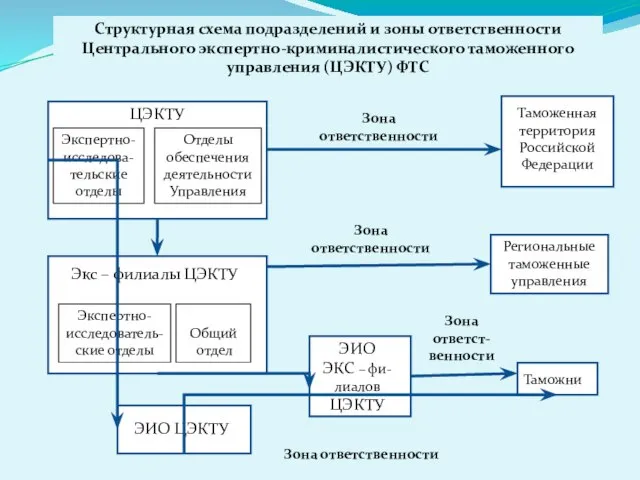 Структурная схема подразделений и зоны ответственности Центрального экспертно-криминалистического таможенного управления (ЦЭКТУ)