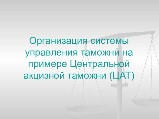 Организация системы управления таможни на примере Центральной акцизной таможни (ЦАТ)