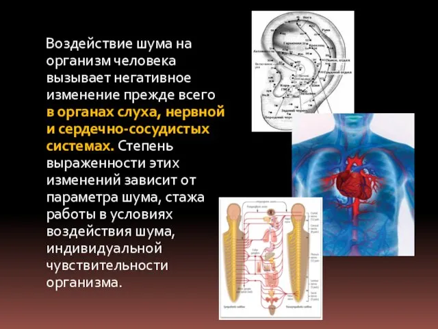 Воздействие шума на организм человека вызывает негативное изменение прежде всего в