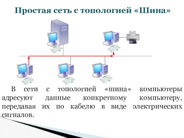 Простая сеть с топологией «Шина» В сети с топологией «шина» компьютеры