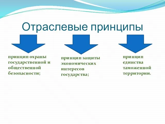 Отраслевые принципы принцип охраны государственной и общественной безопасности; принцип защиты экономических