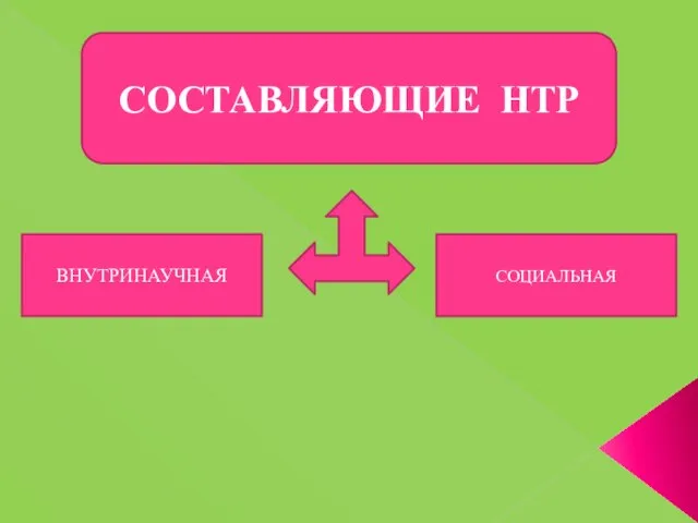 СОСТАВЛЯЮЩИЕ НТР ВНУТРИНАУЧНАЯ СОЦИАЛЬНАЯ