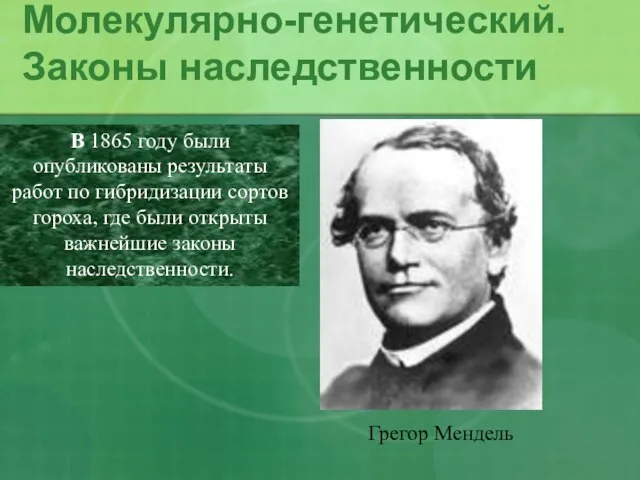 Молекулярно-генетический. Законы наследственности Грегор Мендель В 1865 году были опубликованы результаты