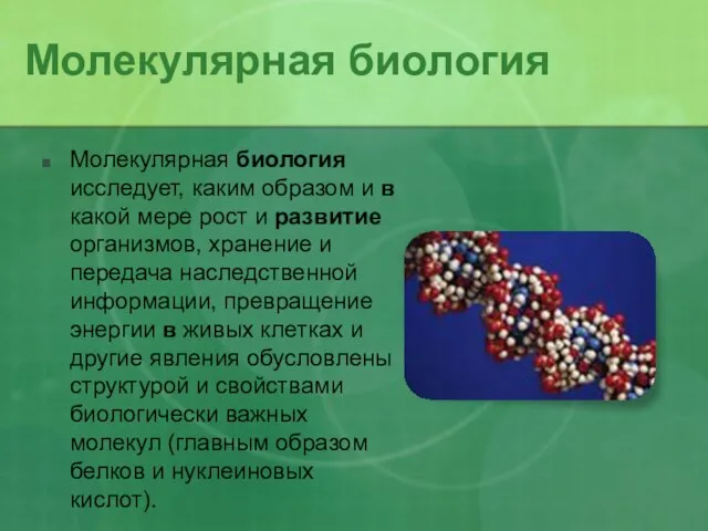 Молекулярная биология Молекулярная биология исследует, каким образом и в какой мере