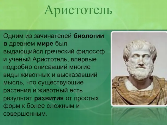 Одним из зачинателей биологии в древнем мире был выдающийся греческий философ