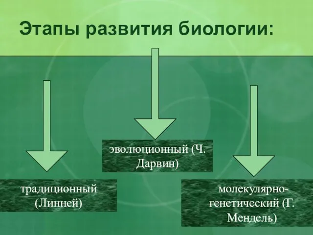 Этапы развития биологии: традиционный (Линней) эволюционный (Ч. Дарвин) молекулярно-генетический (Г. Мендель)