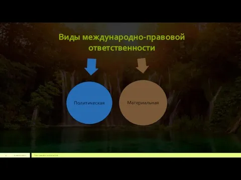 Виды международно-правовой ответственности 22 июля 2012 г. Текст нижнего колонтитула