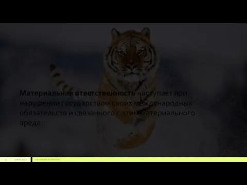 22 июля 2012 г. Текст нижнего колонтитула Материальная ответственность наступает при