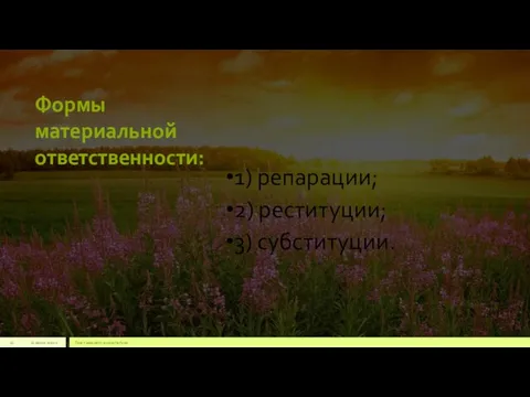 Формы материальной ответственности: 1) репарации; 2) реституции; 3) субституции. 22 июля 2012 г. Текст нижнего колонтитула