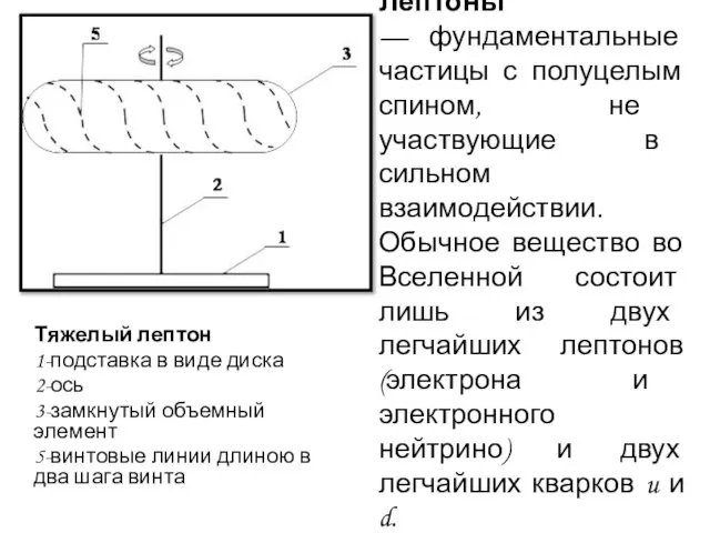 Лептоны — фундаментальные частицы с полуцелым спином, не участвующие в сильном