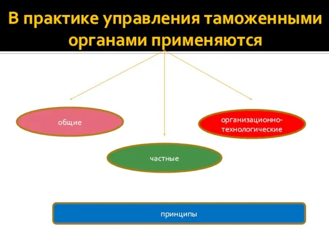 В практике управления таможенными органами применяются общие частные организационно-технологические принципы