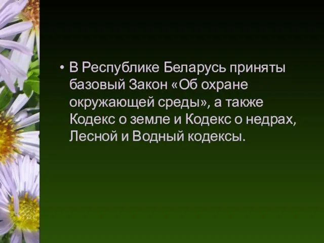 В Республике Беларусь приняты базовый Закон «Об охране окружающей среды», а
