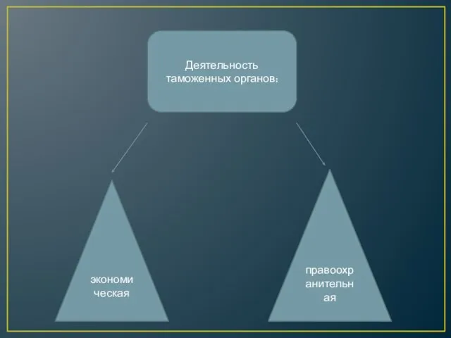 Деятельность таможенных органов: экономическая правоохранительная