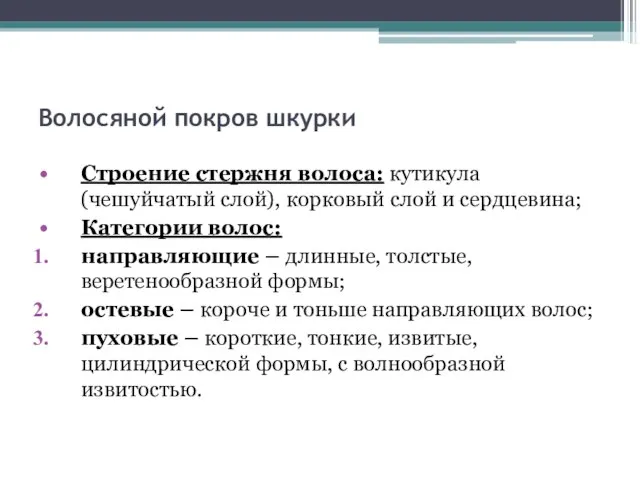 Волосяной покров шкурки Строение стержня волоса: кутикула (чешуйчатый слой), корковый слой