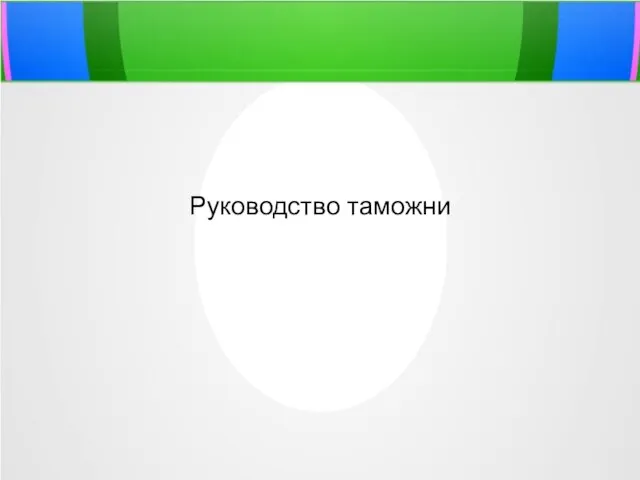 Руководство таможни