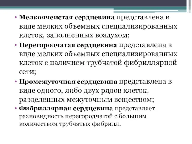 Мелкоячеистая сердцевина представлена в виде мелких объемных специализированных клеток, заполненных воздухом;