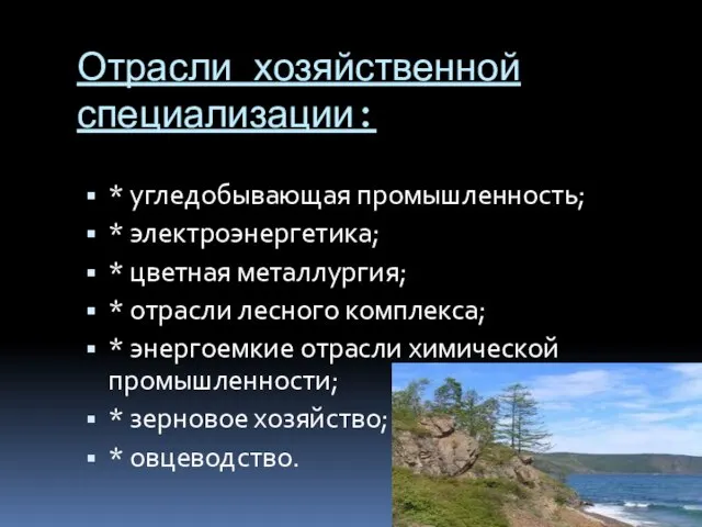 Отрасли хозяйственной специализации: * угледобывающая промышленность; * электроэнергетика; * цветная металлургия;