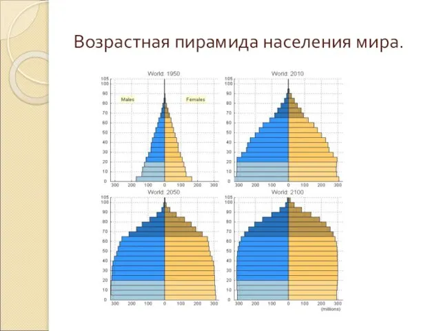 Возрастная пирамида населения мира.