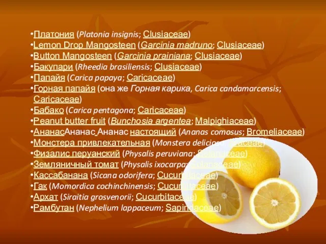 Платония (Platonia insignis; Clusiaceae) Lemon Drop Mangosteen (Garcinia madruno; Clusiaceae) Button