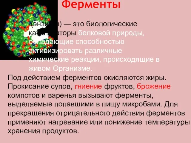 Ферменты (энзимы) — это биологические катализаторы белковой природы, обладающие способностью активизировать