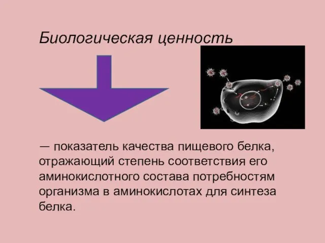 Биологическая ценность — показатель качества пищевого белка, отражающий степень соответствия его