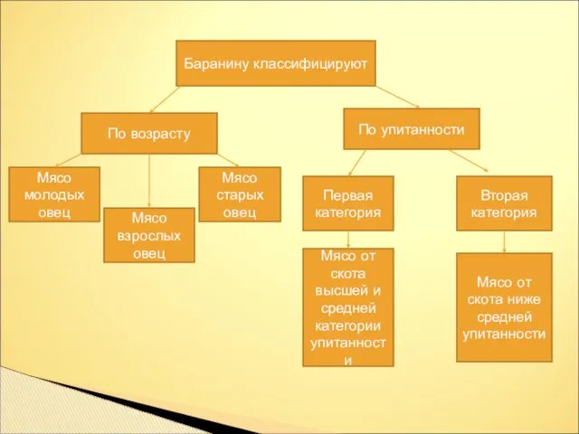 Баранину классифицируют По возрасту По упитанности Мясо молодых овец Мясо взрослых